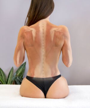 Corso di Anatomia Palpatoria