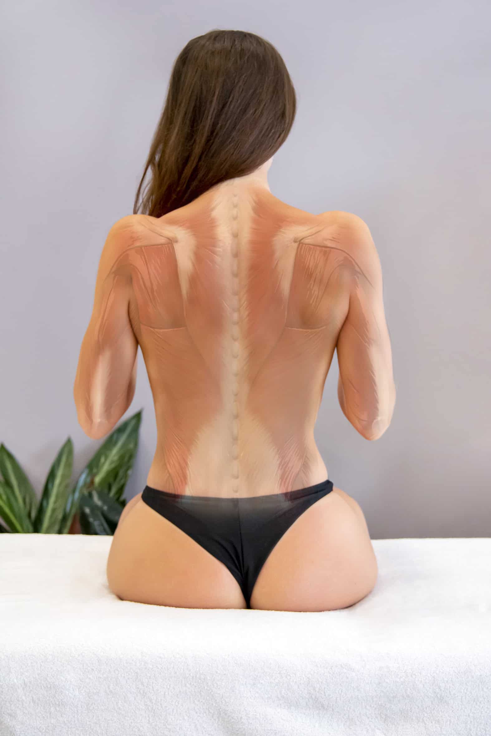 Tatuaggio anatomico della schiena di una donna con muscoli e colonna vertebrale realistici, studi di anatomia umana.