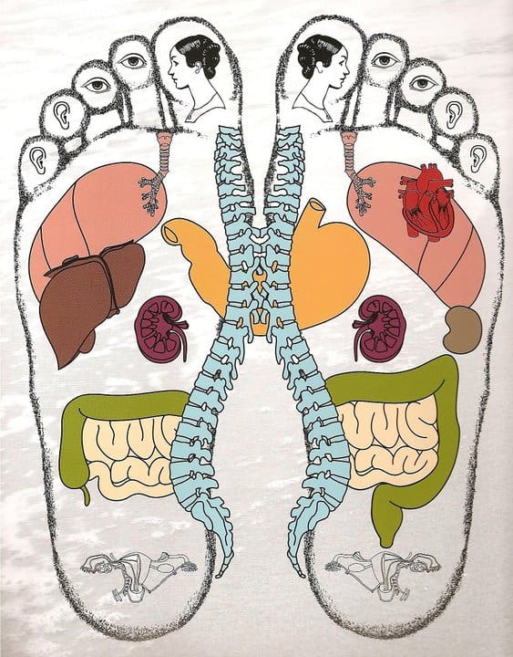 corso riflessologia plantare teoria