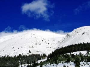 Corso Riflessologia Elemento Terra L’Aquila