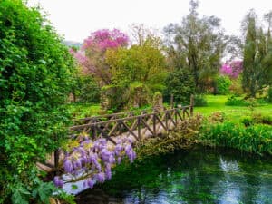 Corso Riflessologia Elemento Terra Latina