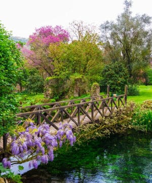 Corso Massaggio Bioenergetico Latina