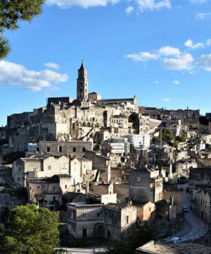 Corso Anatomia Palpatoria Matera