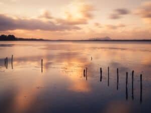 Corso Massaggio Ayurvedico Latina