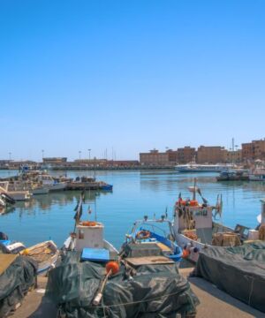 Corso Massaggio Sportivo Anzio Nettuno