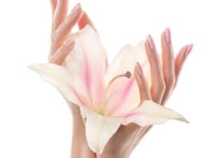 Cura delle mani: proteggi la fonte del tuo lavoro