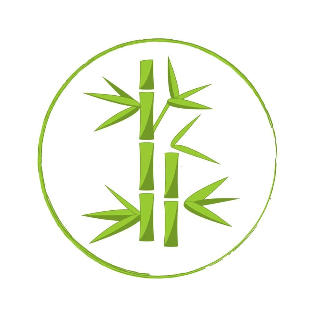 Il corso di bamboo massage a Trento