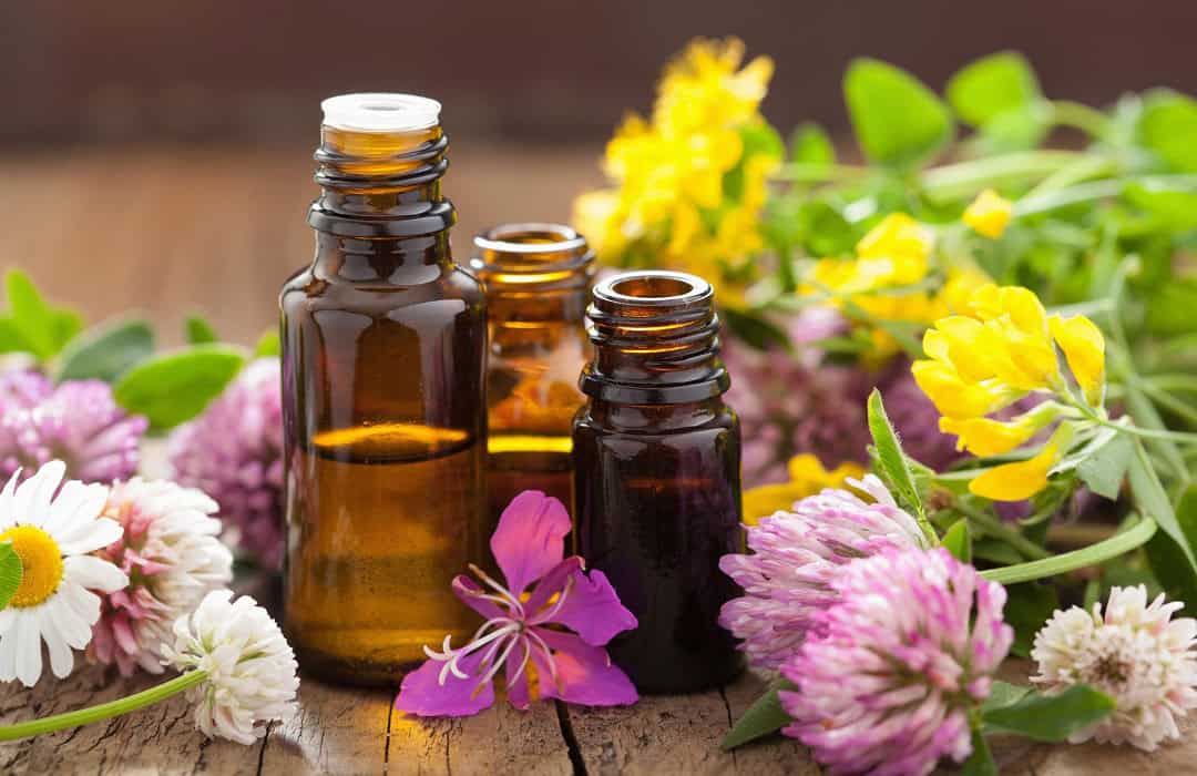 Oli essenziali naturali in bottiglie di vetro con fiori e piante.