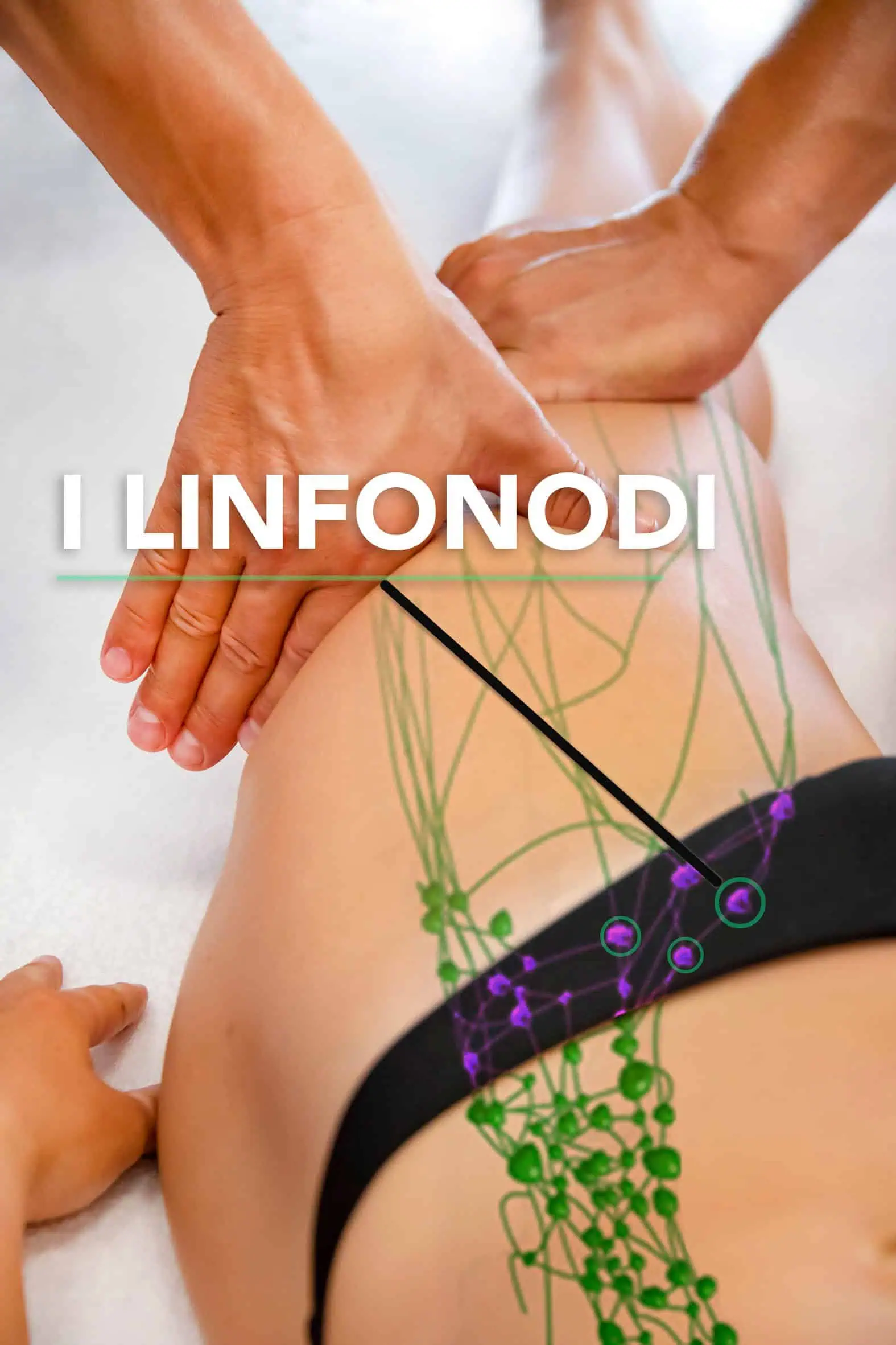 I Linfonodi: Linfodrenaggio Metodo Vodder - Evolution Academy®