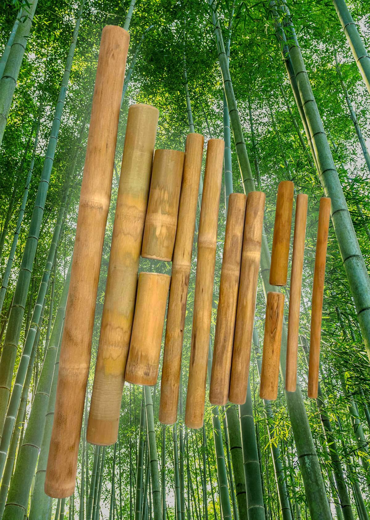 Fagotto di bamb&ugrave; per massaggi in un bosco di bamb&ugrave; verde.