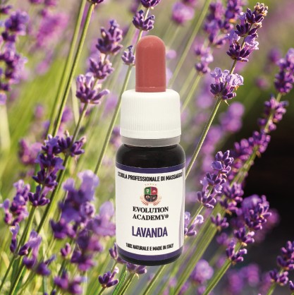 Lavanda_Massaggio con oli essenziali_ Scuola di Massaggio Evolution Academy