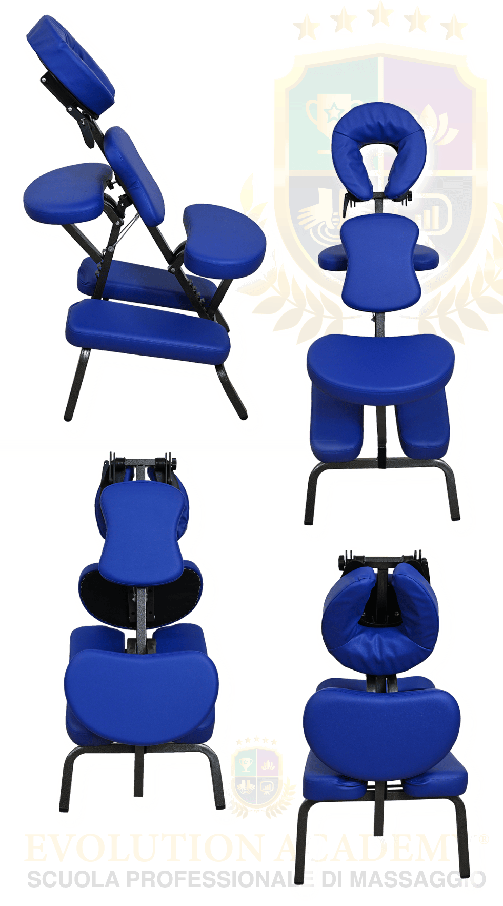 Sedia Ergonomica_Evolution Academy